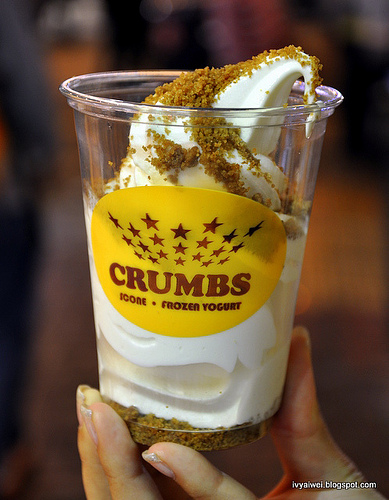 Crumbs Frozen Yogurt2