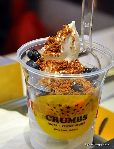 Crumbs Frozen Yogurt3
