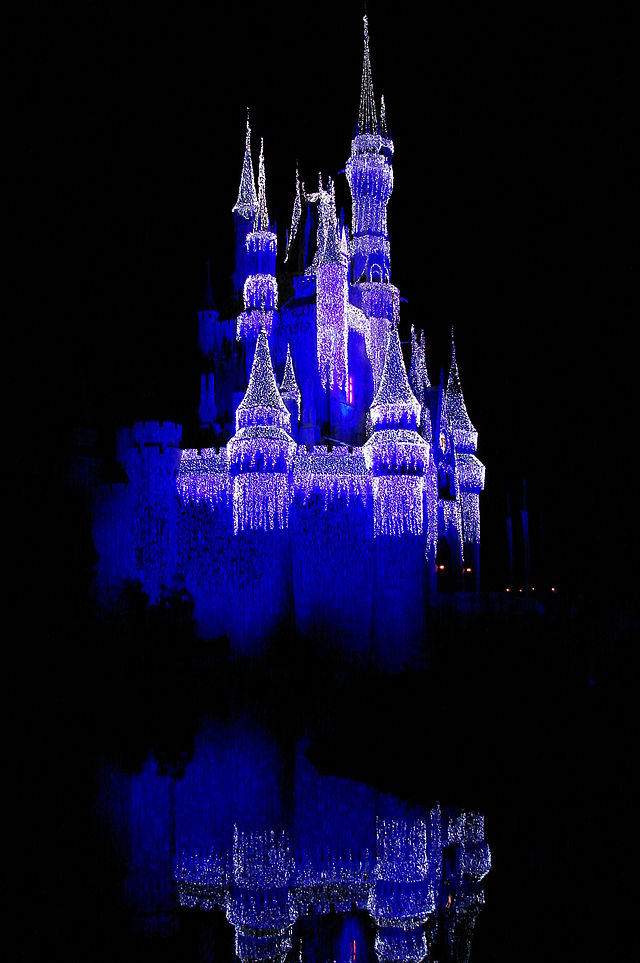 1. Magic Kingdom, Florida03