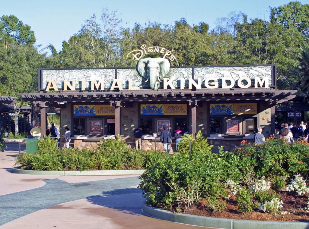 7. Disney's Animal Kingdom, Florida03
