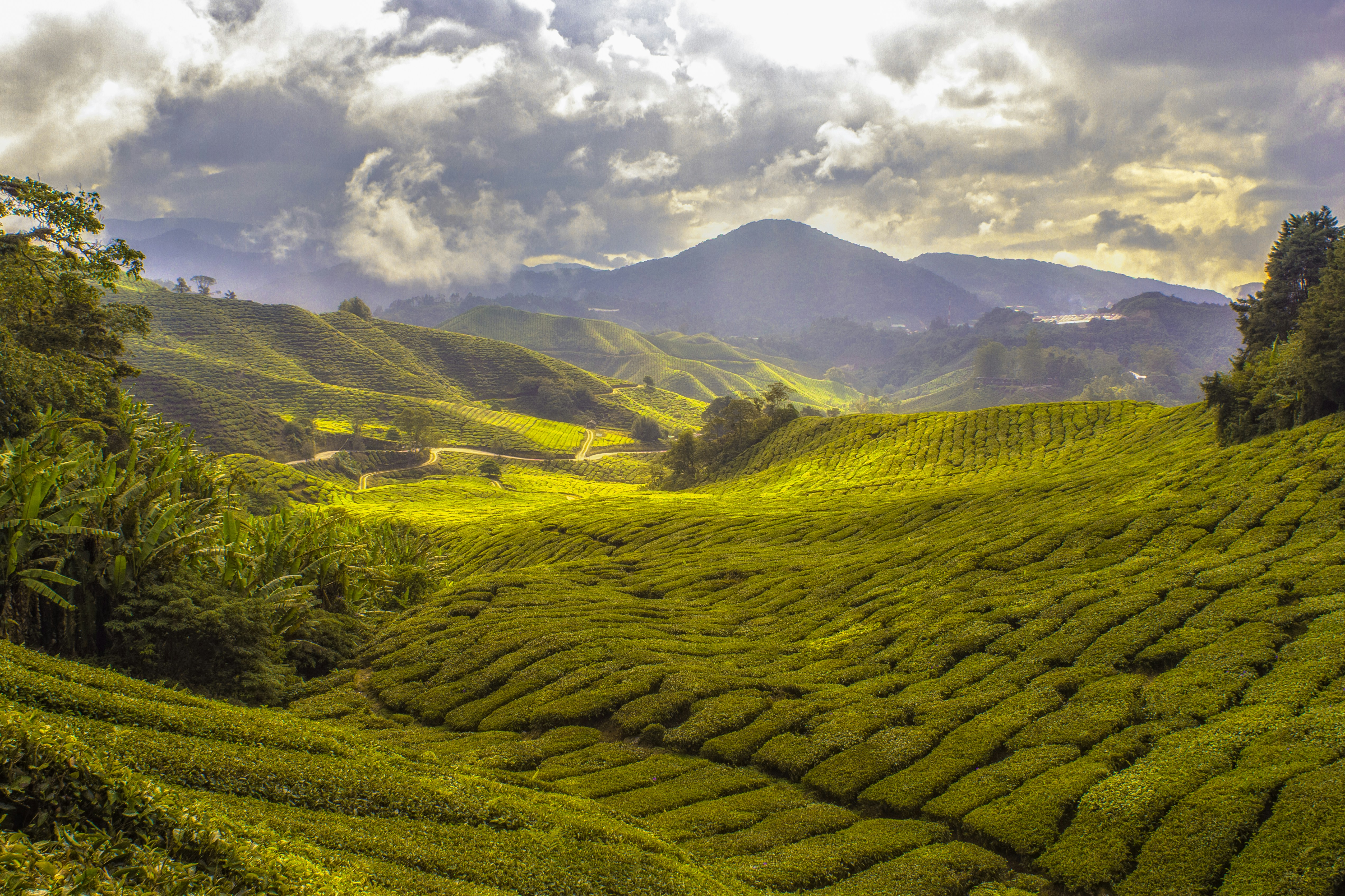 Travel destination